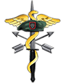 A green and yellow cross with an army emblem on it.